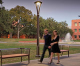Alcott Street Lighting - on this page