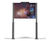 Altus Latus Display Board 1