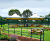 Airone Max 175 - steel-framed PVC canopy shelter for large areas 1