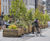 WoodBlocX Moveable Planters - modular timber planters for public spaces 0
