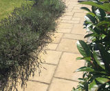 Barrington Flagstones - National Trust paving slabs for patios and paths - on this page