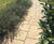 Barrington Flagstones - National Trust paving slabs for patios and paths 0
