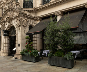Bespoke movable bronze barrier planters for restaurant