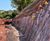 Earth anchors stabilise 6m-high, 137m-long slope at business park 6