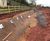 Earth anchors stabilise 6m-high, 137m-long slope at business park 3