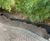 FlexiRoot root barrier 1