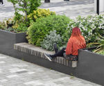 Rough&Ready Big Green Benches