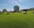 Commercial and public landscaping 11