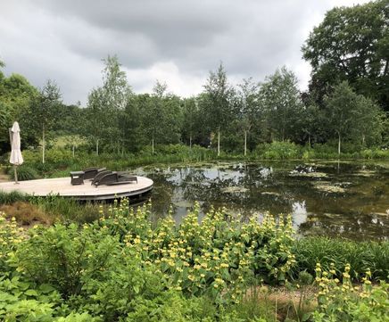 Semi-mature trees supplied and planted for new-build residence