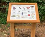 GRP interpretation panels for outdoor visitor attractions - on this page