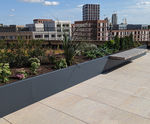 Planterline - straight structural steel planter walls