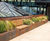 Planterline - straight structural steel planter walls 1