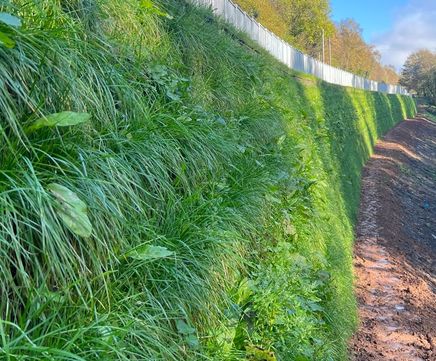 Textomur reinforced soil geogrid