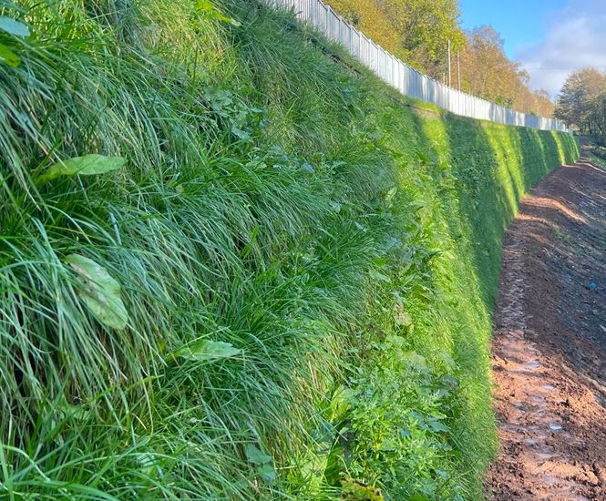 Textomur reinforced soil geogrid