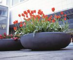 Pro Urba Boboli FRC planter