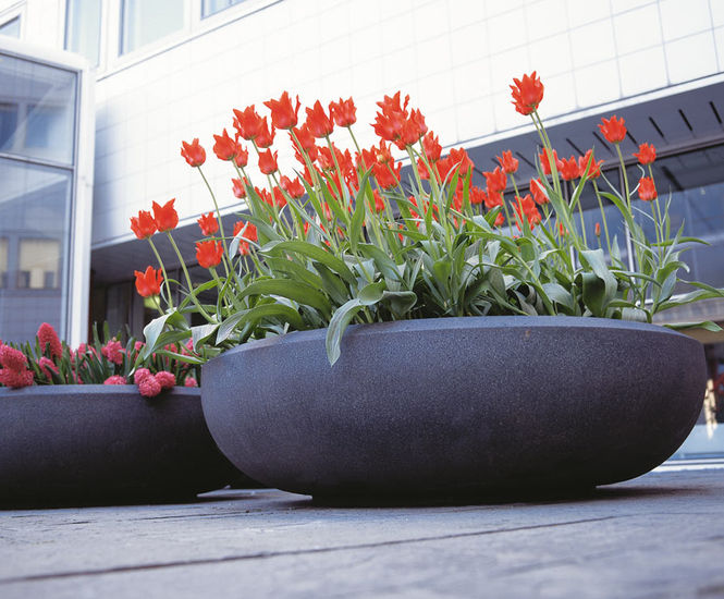 Pro Urba Boboli FRC planter