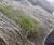 Soil Saver™ biodegradable jute erosion control mesh 5