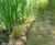 CoirLog biodegradable riverbank erosion control 4