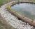CoirLog biodegradable riverbank erosion control 7