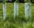 Eco-Haven™ Original - biodegradable tree and shrub guard 1