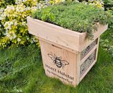 Bughouses are a simple BNG solution - on this page