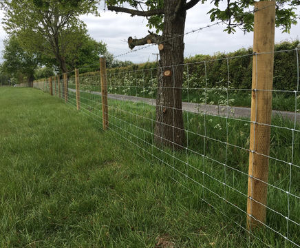 Agricised® timber fencing posts and strainers