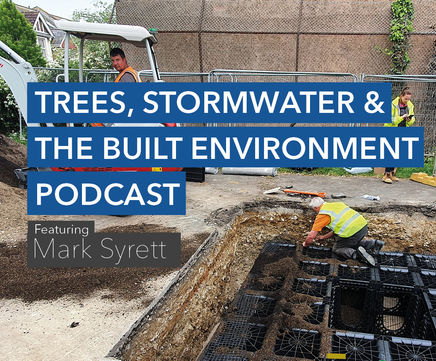 Podcast: Trees, stormwater and the built environment