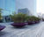 Malva fibreglass planter 0