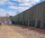 ECOSoundBlok - living green noise barrier for landscaping 0