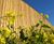 NATURALSoundBlok Reflective - timber acoustic fence for noise control 2