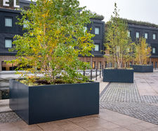 Bespoke steel tree planters