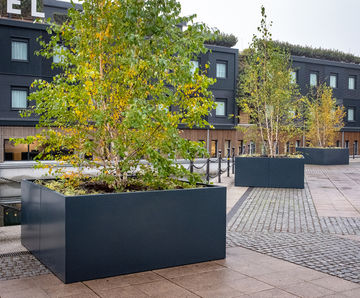 Bespoke steel tree planters