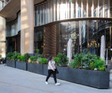Bespoke steel street planters, 10 Hammersmith Grove - on this page