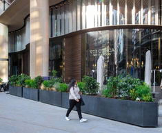Bespoke steel street planters, 10 Hammersmith Grove
