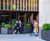 Bespoke steel street planters, 10 Hammersmith Grove 1
