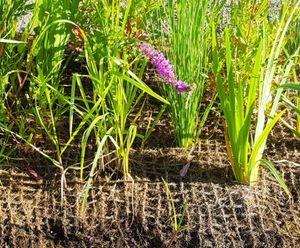 CoirPallet erosion control substrates