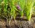 CoirPallet erosion control substrates 0