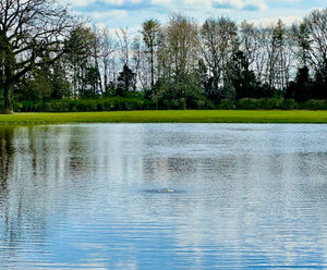 OxiAir HD diffused aeration installation for private fishing lake