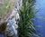 CoirPallet erosion control substrates 6