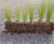 CoirPallet erosion control substrates 7