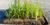CoirPallet erosion control substrates 4