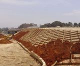 CoirFence™ soil retention and stabilisation fabric - on this page