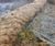 CoirLog biodegradable riverbank erosion control 11