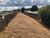 CoirMesh™ - coir coconut erosion control mesh blankets 11