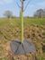 Ecotex MulchMat™ biodegradable weed control fabric 11