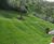 GrassMat Supreme - biodegradable seeded mat for erosion control 11