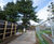 RootBridge - steel tree root zone protection system 1