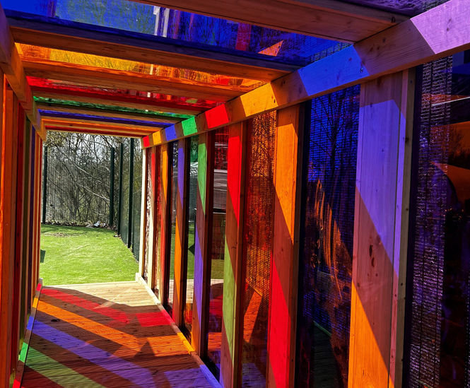 Sensory Light Tunnel (CP-SLT)