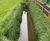Rootlok Vegetated Wall System - retaining wall bags for erosion control 2