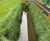 Rootlok Vegetated Headwalls 11